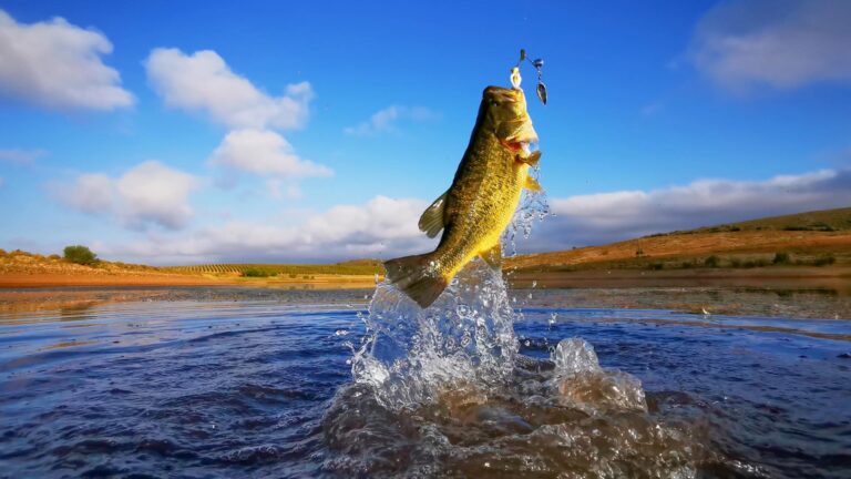 Essential Bass Fishing Gear for Beginners