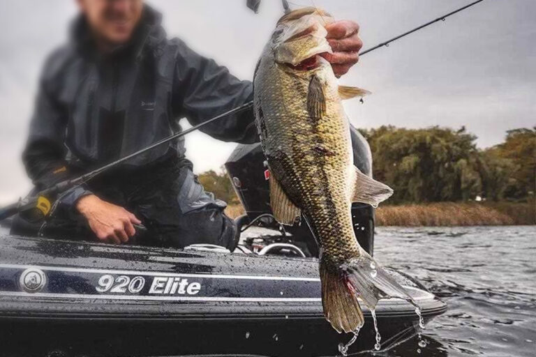 Fall Bass Fishing Techniques for Success: A Texas Angler’s Guide