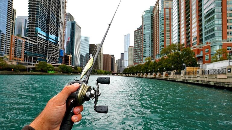 Urban Bass Fishing: Tips for City Anglers