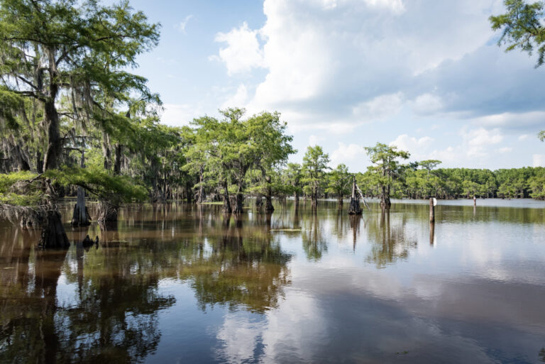 Top Winter Bass Fishing Tips for Texas Lakes